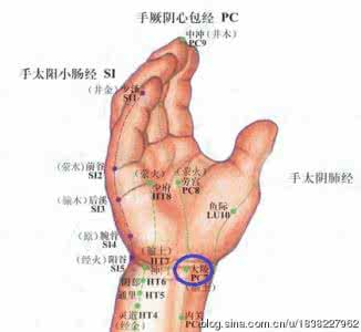 大陵准确位置图和作用 大陵穴的功效和作用