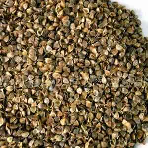 做枕头苦荞麦壳还是甜 苦荞麦壳和甜荞麦壳的区别