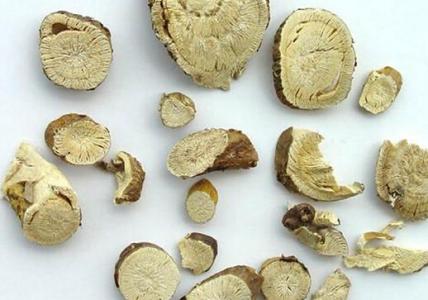 苦参凝胶的功效与作用 苦参的功效与作用