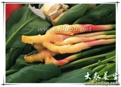 生姜治疗脱发的方法 生姜治疗脱发的方法 生姜治疗脱发的方法是怎样的