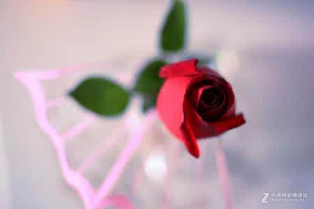 女生最喜欢什么礼物 这才是小情人最喜欢的礼物