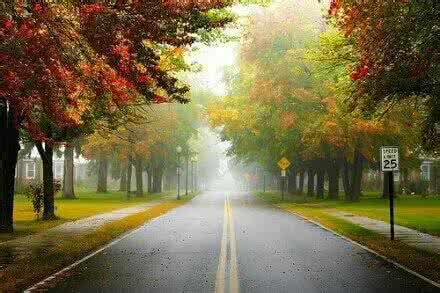 走投有路 电影 勇敢的人到处都有路可走