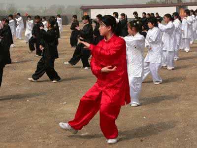 永年广府太极拳 广府太极拳 广府学“拳”