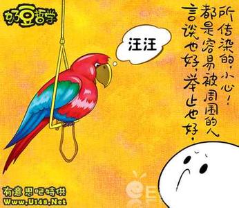 哲学思维与人生境界 【哲理故事】弯曲的哲学-人生境界