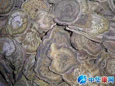 食用大黄食用方法 大黄食用方法 中药大黄的食用方法