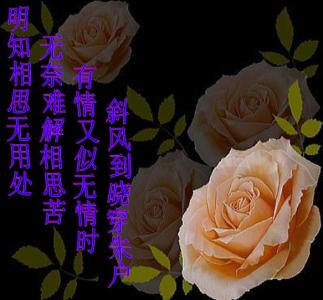 心灵终结3.3打不开 心结如果打不开,就把它系成个花~