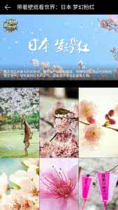 日本樱花季节 樱花季,只想做一个不被打扰的“花痴”