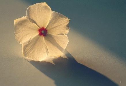 心情低沉 适合在心情低沉是看的十条人生感悟