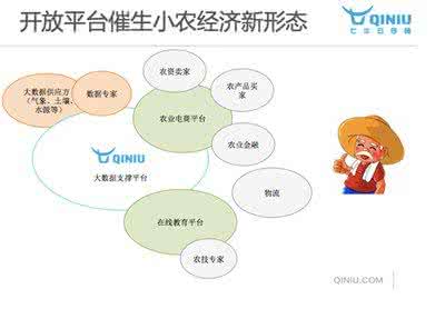 可行性分析 可行性分析 可行性分析实例