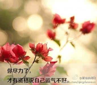 写给正在努力的自己 写给正在努力的你