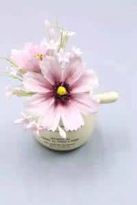 漂洋过海来看你片花 漂洋过海去看你,竟然不用花积蓄!