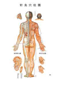 图解针灸大全 图解针灸大全【下】