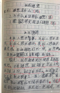 坚持梦想的作文800字 坚持梦想的王者作文450字