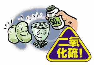 买菜的学问 有毒食品巧辨别 安全买菜学问多