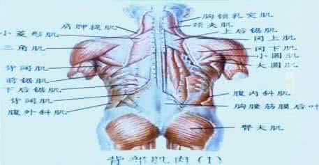 如何锻炼腰部腰肌劳损 重视腰部健康 提防腰肌劳损