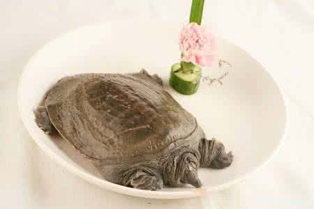 孕妇d2聚体高饮食宜忌 中医眼中的孕妇饮食宜忌