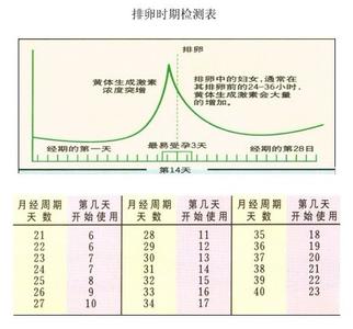 排卵期女性有什么感觉 排卵期女性有什么感觉 女性排卵期是什么时间