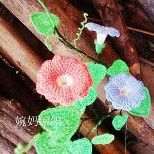 毛线钩针盆景花卉插花 毛线钩的牵牛花盆景 毛线编织花卉图解教程教钩牵牛花的钩法