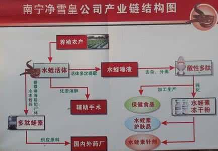 市场研究行业 水蛭养殖 2015-2020年中国水蛭养殖行业市场研究及投资战略预测报告