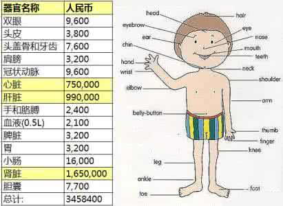 一个人全身值多少钱 你的身體值多少錢？