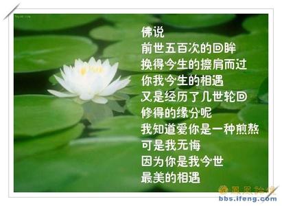 生命中最美的遇见 生命中……最美的遇见