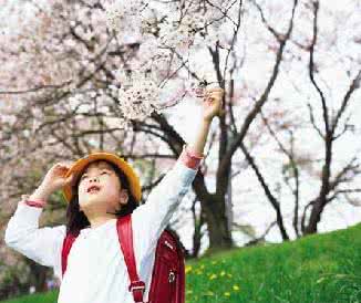 梦想世界野花生长期 让孩子像野花一样生长 --全面依靠孩子