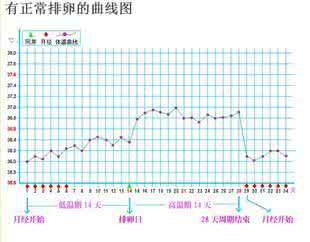 测排卵期体温表 测排卵期体温表 怎么用温度计测排卵期