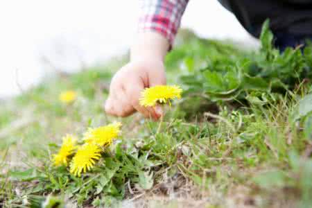 孩子的自然智能如何评估