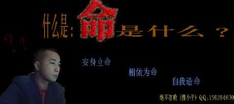 风会记得一朵花的香 有一种爱叫相依为命