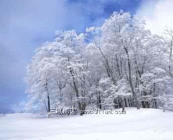 雪天注意事项 雪天健康养生需注意哪些