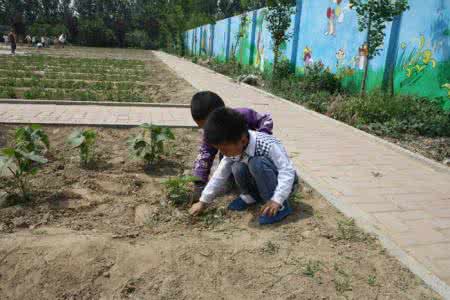 短袖针织小开衫 拔草款,女儿的短袖开衫,有详细说明