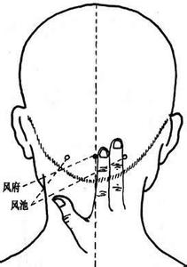 常按“风池 曲池 阳池”三穴防夏季百病