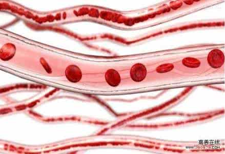 血管清道夫最好的药 什么药称为血管清道夫 血管的清道夫