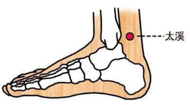女人经络养生经 【经络养生】太溪穴|女人美容养颜的“保镖”肌肤水嫩柔滑