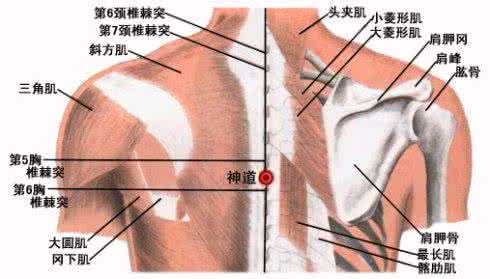星空神道 保命要穴神道左