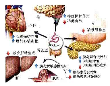 高血糖如何降下来 神奇：五招教你把血糖降下来