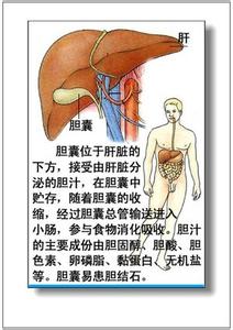 祖传秘方治疗老花眼 老中医秘方：远离膝盖痛、高血压、老花眼…几亿人在看~