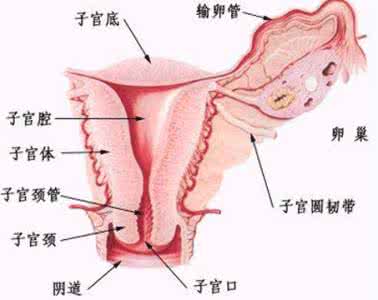 外阴炎用什么治疗 阴炎治疗 什么是外阴炎