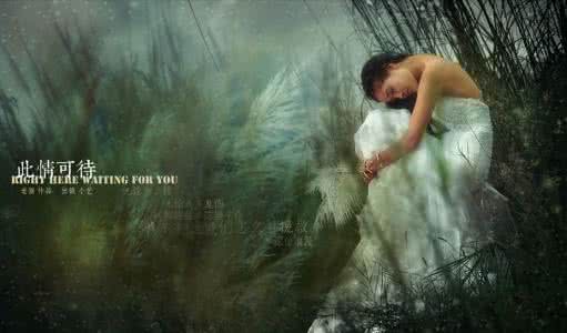 此情可待 此情可待 此情可待