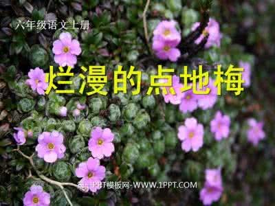 烂漫的点地梅阅读答案 烂漫的点地梅 【点地梅】点地梅的资料介绍