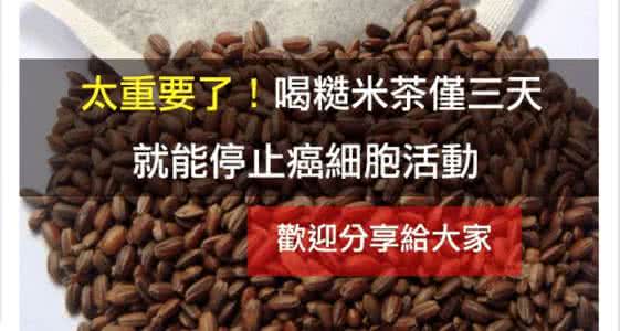 糙米茶 喝糙米茶：三天就能停止癌細胞活动