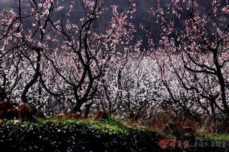 幽怨的眼神 雨落幽怨、墨香染眼【精美图文】