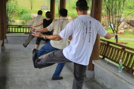 郑子太极拳 郑子太极拳谢昭隆师父教学重点－鱼太极汇整