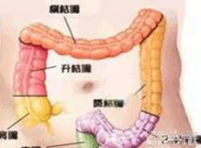 孤立性直肠溃疡综合征 孤立性直肠溃疡综合征 孤立性直肠溃疡综合征 如何保护肠道健康