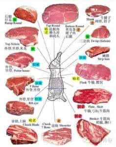 牛肉的各个部位分布图 牛肉各个部位分布图及质地简介