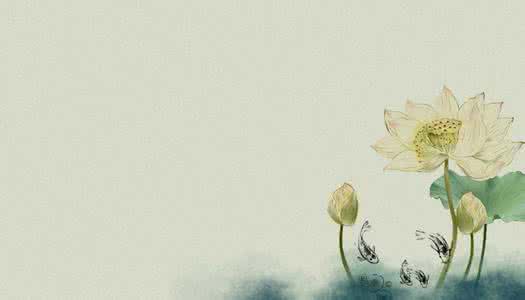 中国最美的禅诗 最美的禅诗大全,太美了!