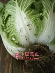 有药用价值的水果蔬菜 蔬菜根的药用价值