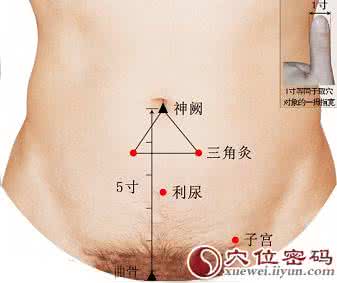 子宫的准确位置图作用 子宫穴的准确位置图