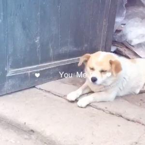 吃什么提神不打瞌睡 总是打瞌睡 总是打瞌睡怎么办？总打瞌睡吃什么？