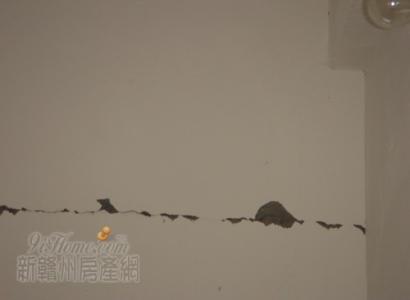 qq资讯达人图标 【一点资讯】地面装修不用愁 装修达人教你怎么做 不管地板地砖还是地毯 (Yidianzixun.co...